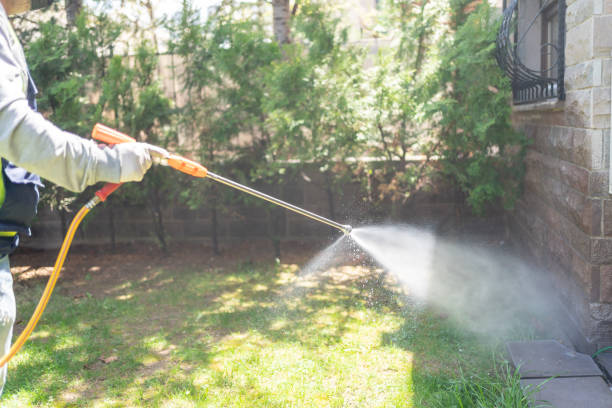 Professional Pest Control in North Key Largo, FL