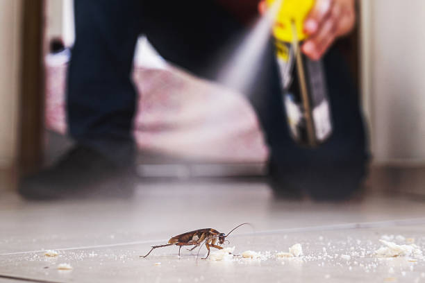 Best Mosquito Control Services  in North Key Largo, FL